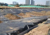 Landfill High Density ISO9001 Polyethylene Geomembrane